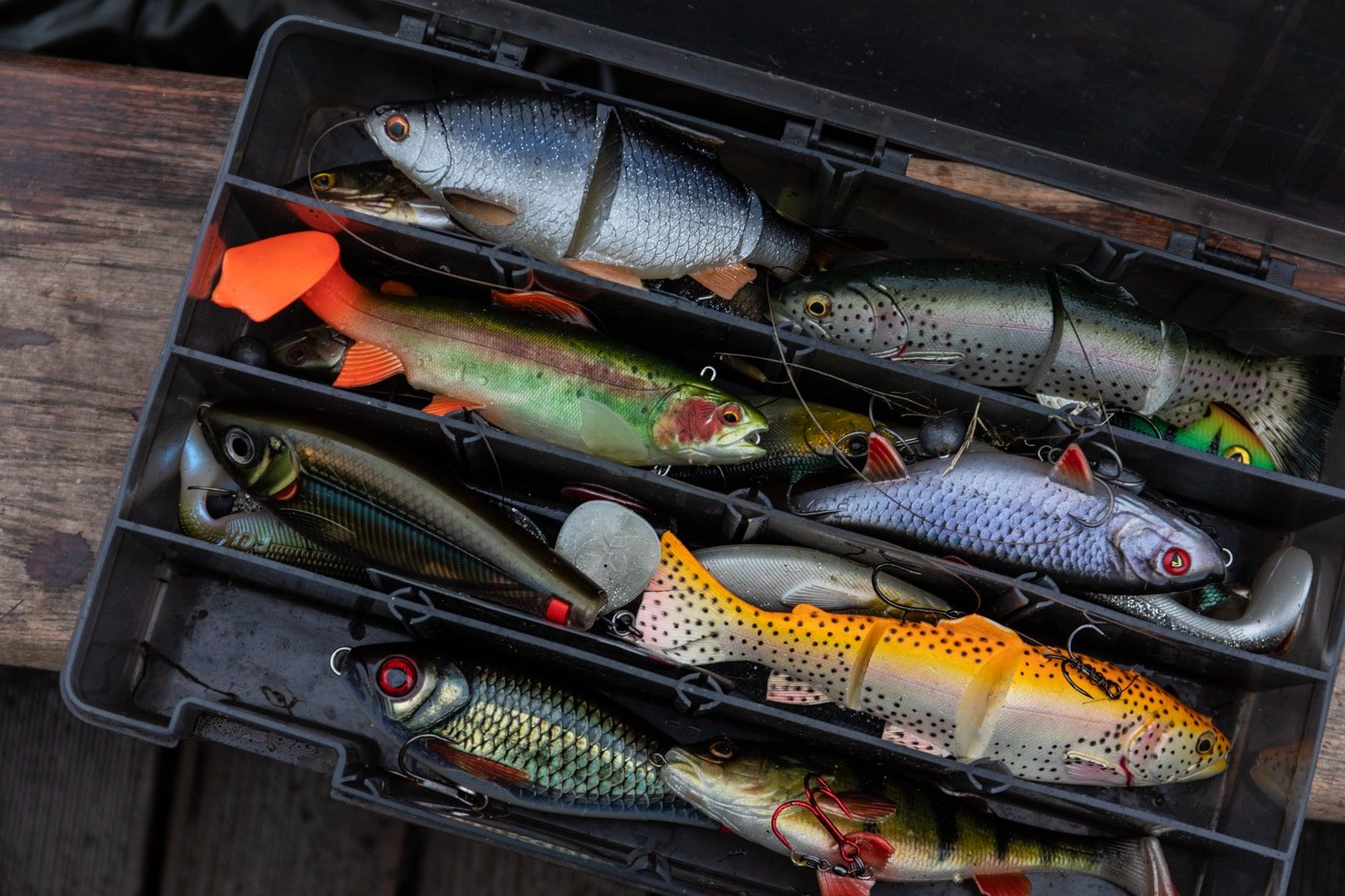 The Science Behind Fishing Lure Colours and Fish Vision