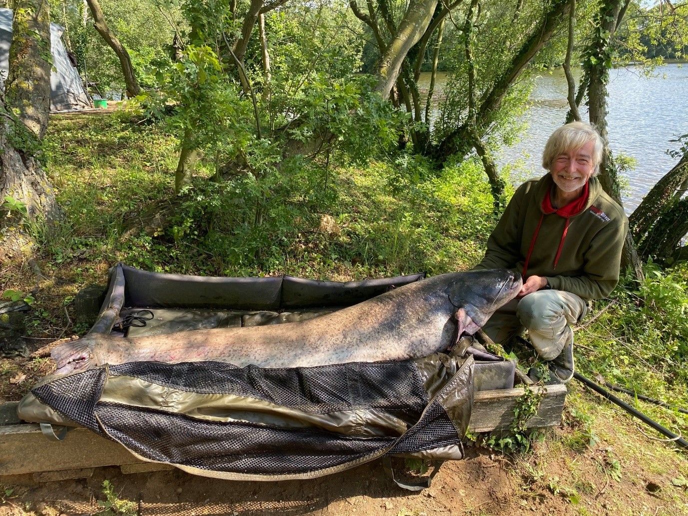 Native Wels Catfish in UK waters - with Martyn Page