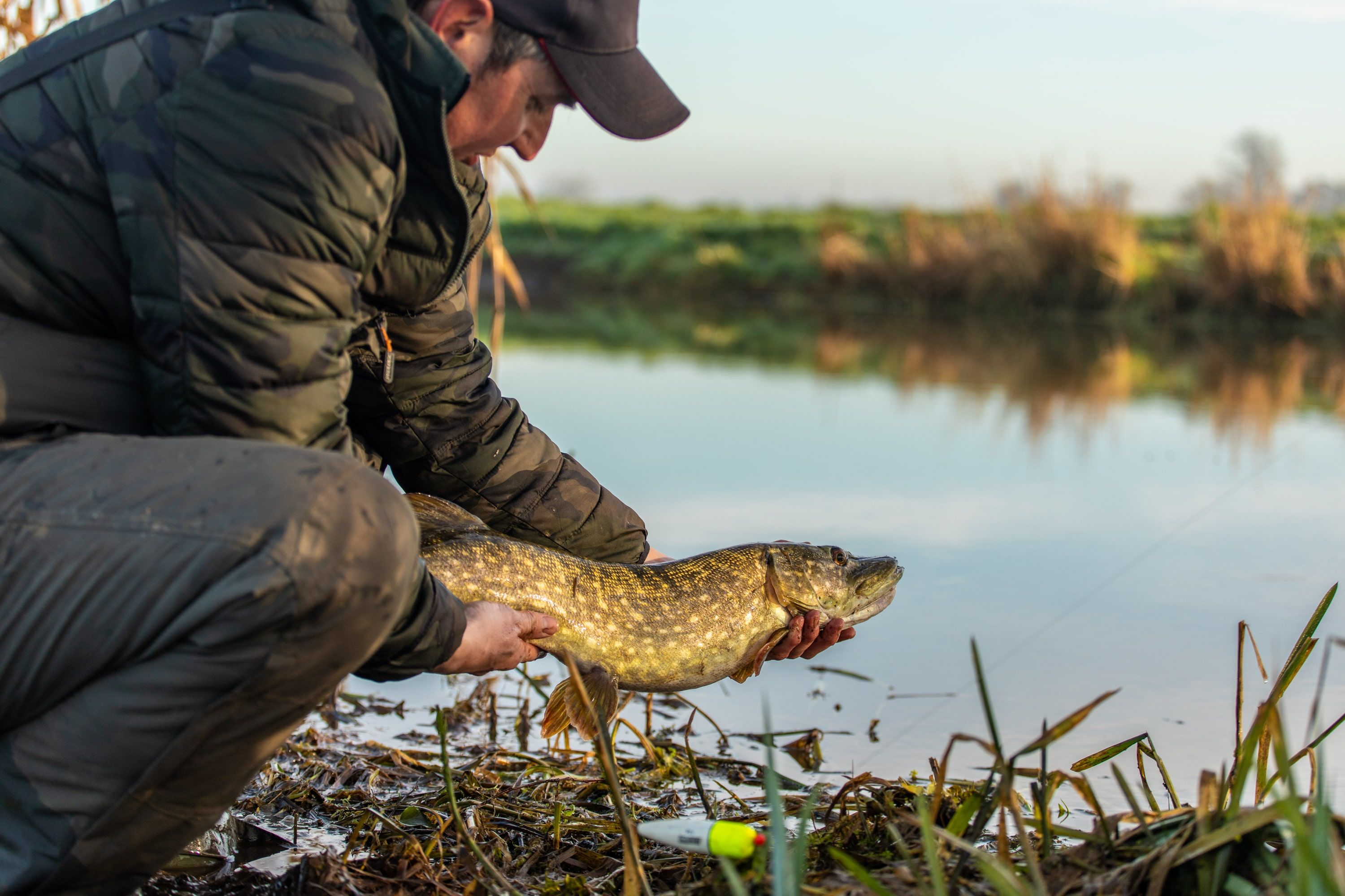 Pike Fishing Norfolk: Where to Find Remarkable Catches