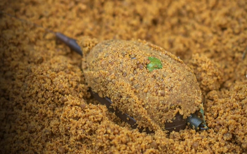 Complete Beginner's Guide To Fishing Groundbait