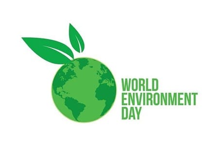 A Guide to Eco-Friendly Fishing - World Environment Day