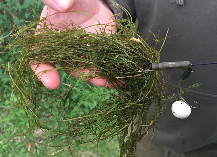 How To Fish Weedy Venues