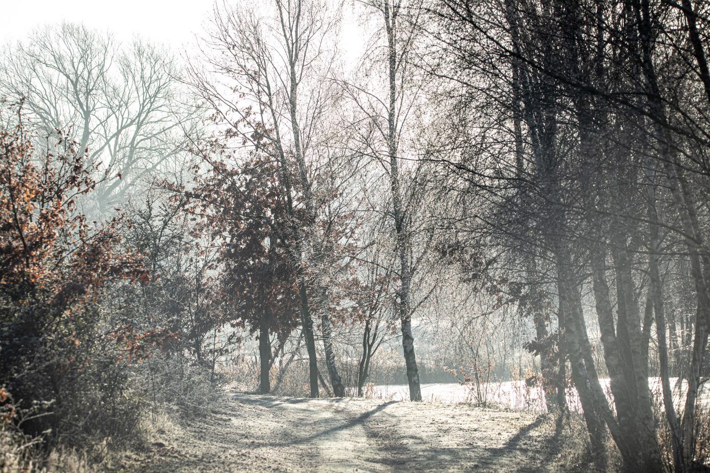 Winter Warmers - How to Keep Warm on the Bank