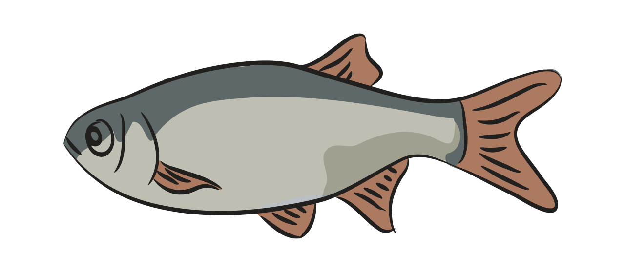 Ide Fish