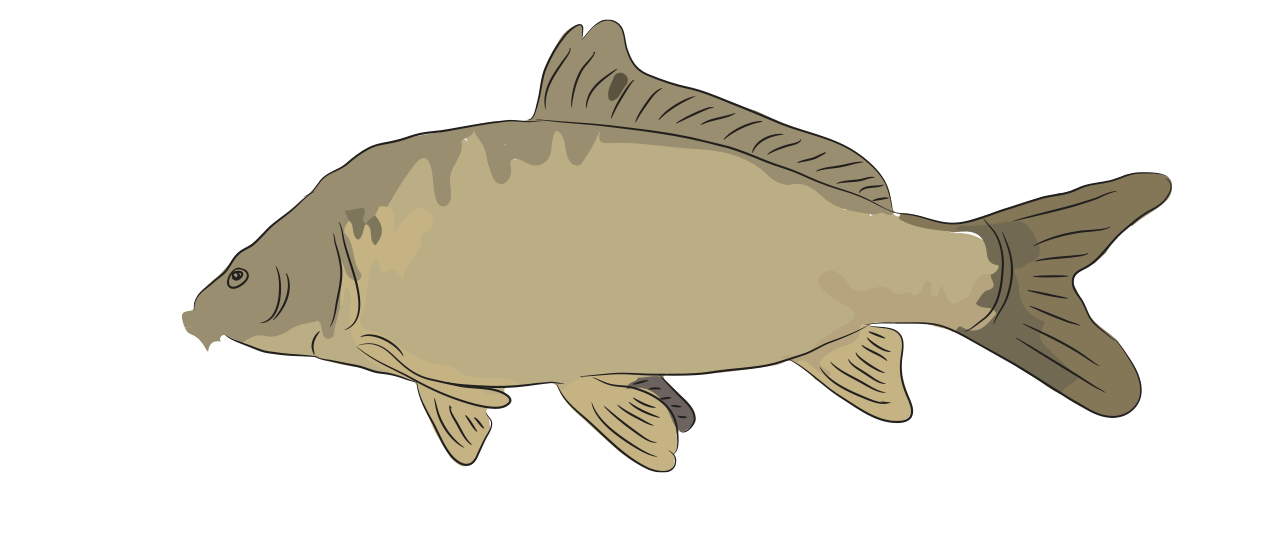 Leather Carp
