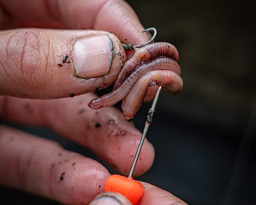 The devastating Worm Kebab!