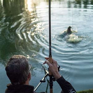 Catfish Rods