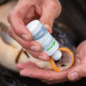 Fish Care Products