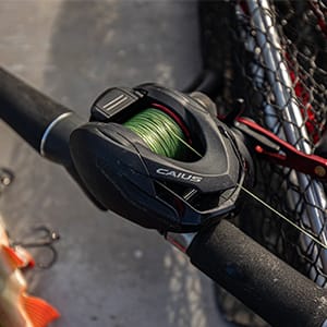 Predator Fishing Reels
