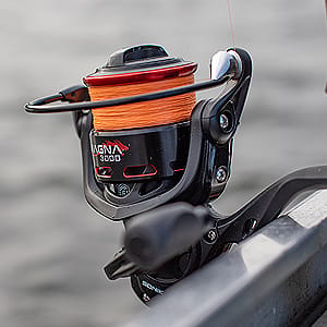 Perch Fishing Line