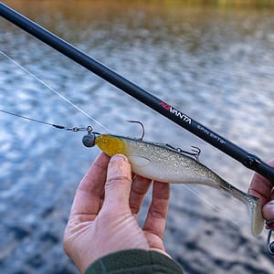 Spinning Rods