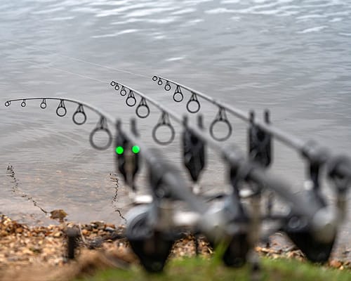 ADTV Carp Chapters - My most Hectic Session! ~ Another screaming bite