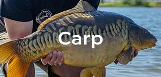 Carp Fishing Tackle