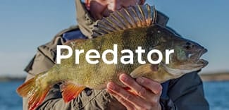 Predator Fishing Tackle
