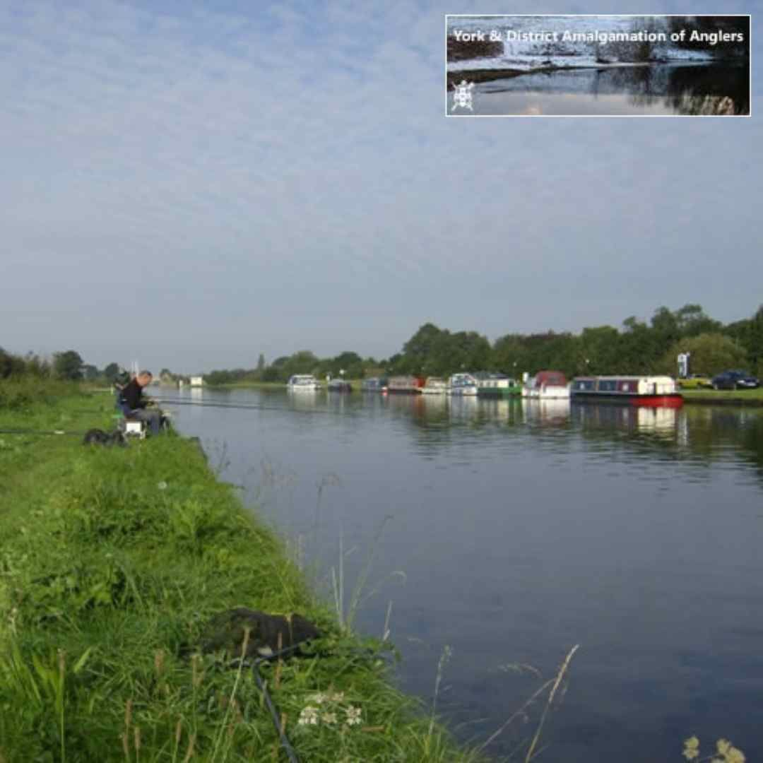 Aire and Calder Navigation Fishing