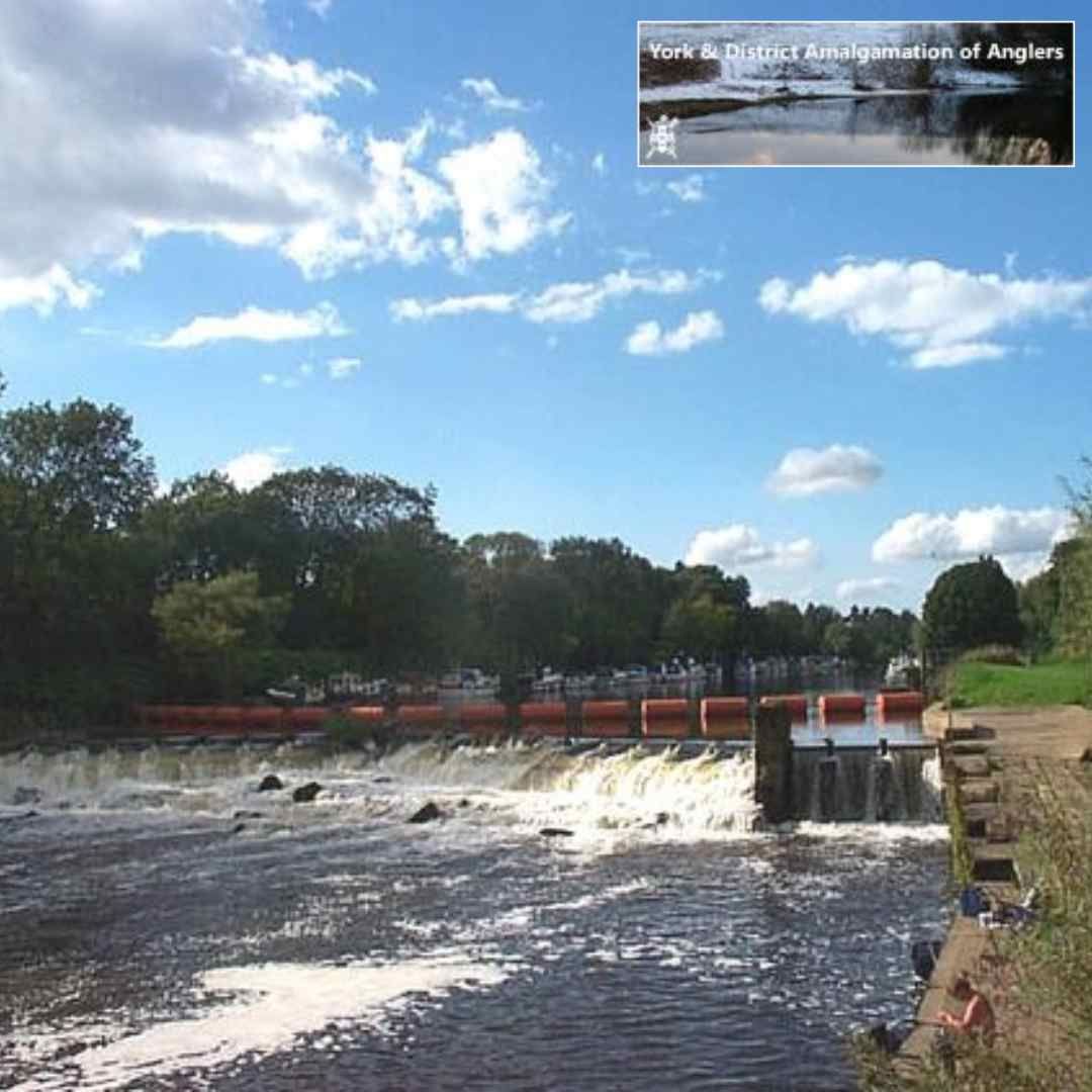 Fishing Naburn weir, River Ouse