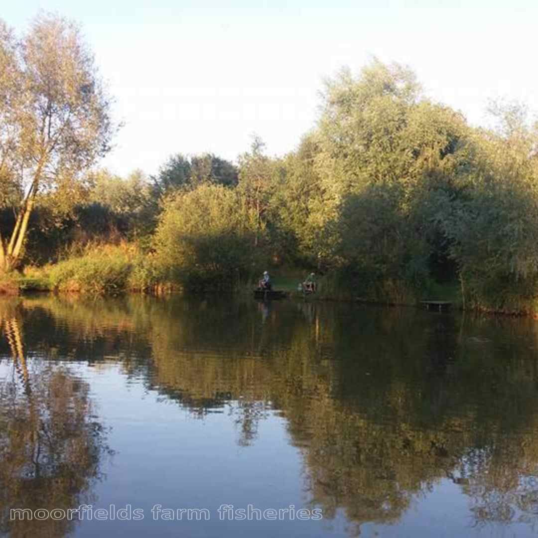 Fishing at Moorfields Farm Fisheries