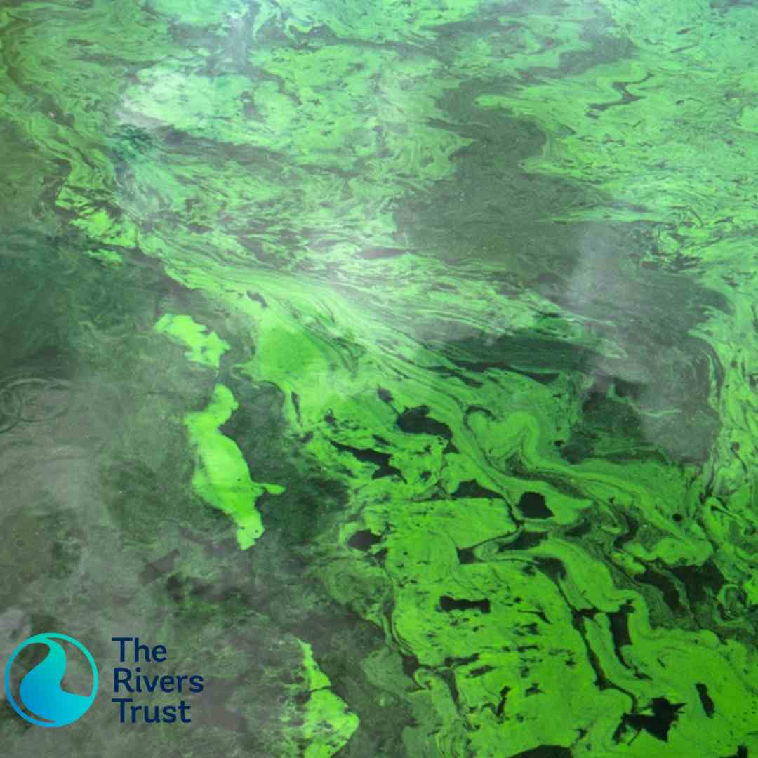 Learn About Water Quality Issues