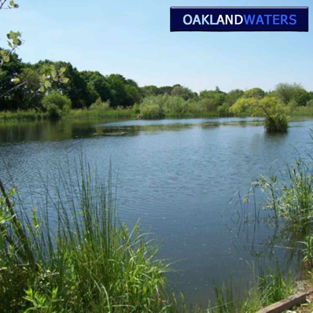 Fishing at Oakland Waters