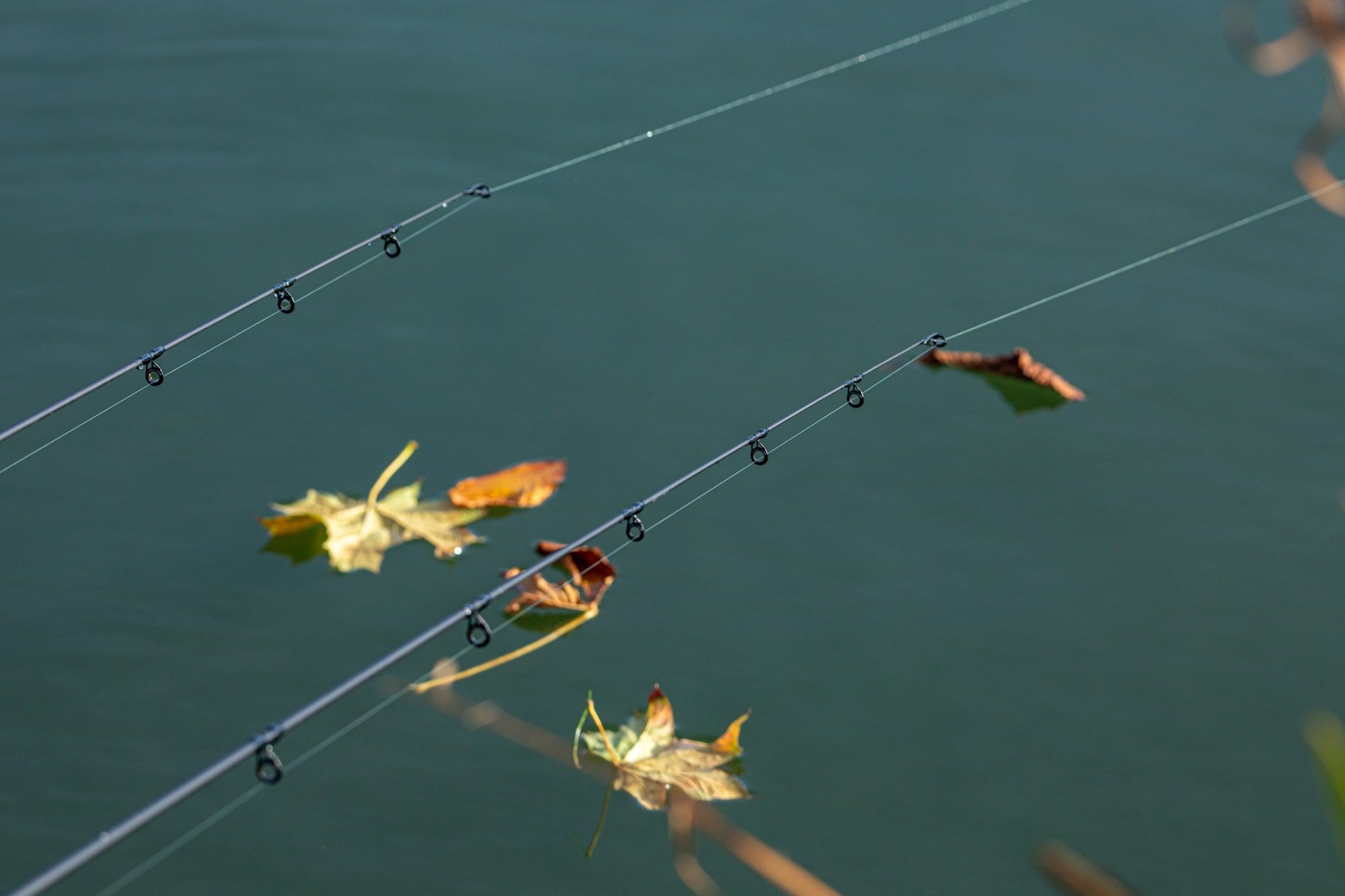 Autumn Coarse Fishing