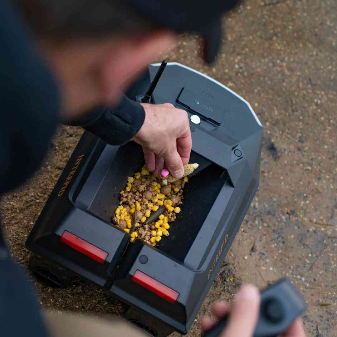 Loading up a fishing bait boat