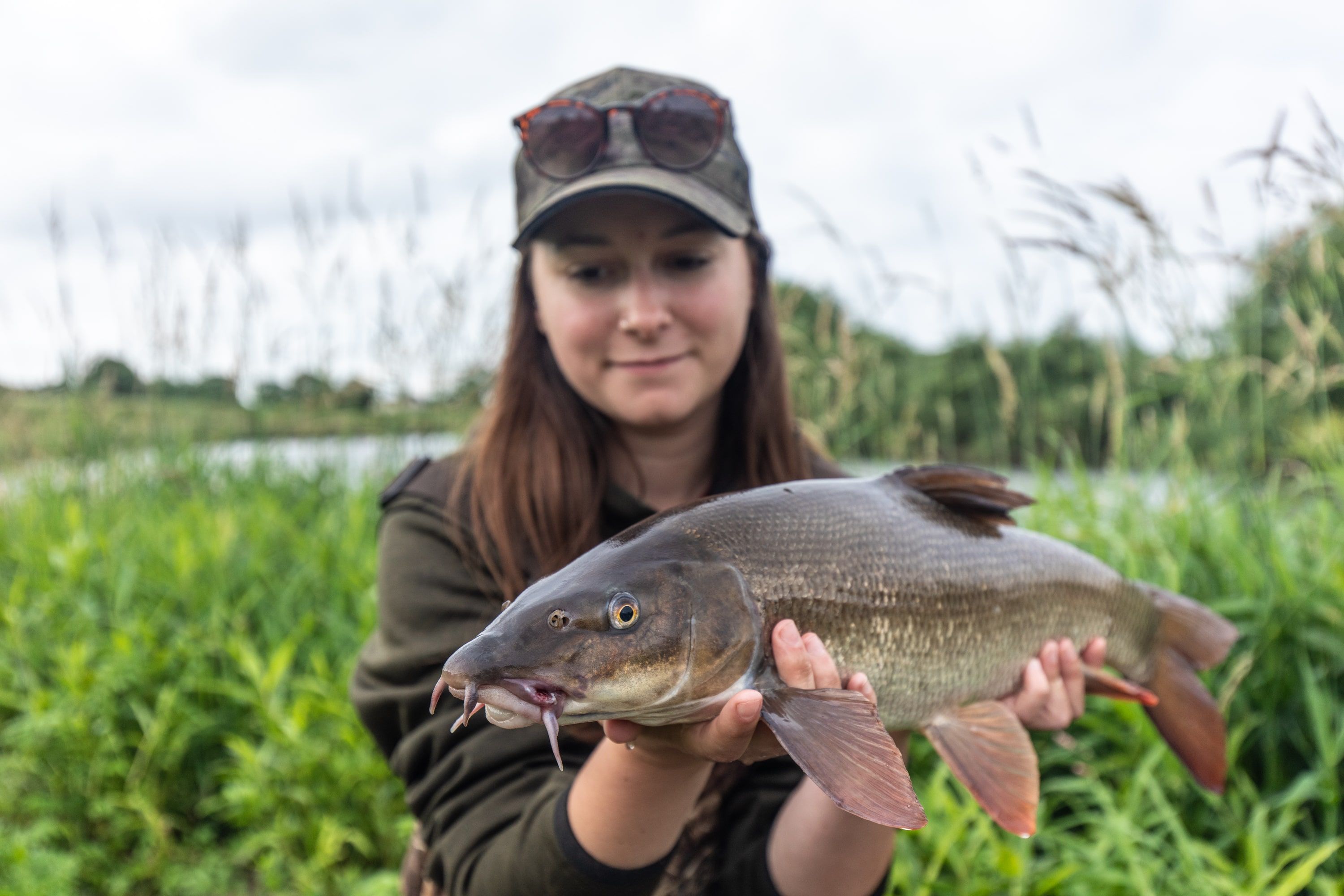 barbel fish