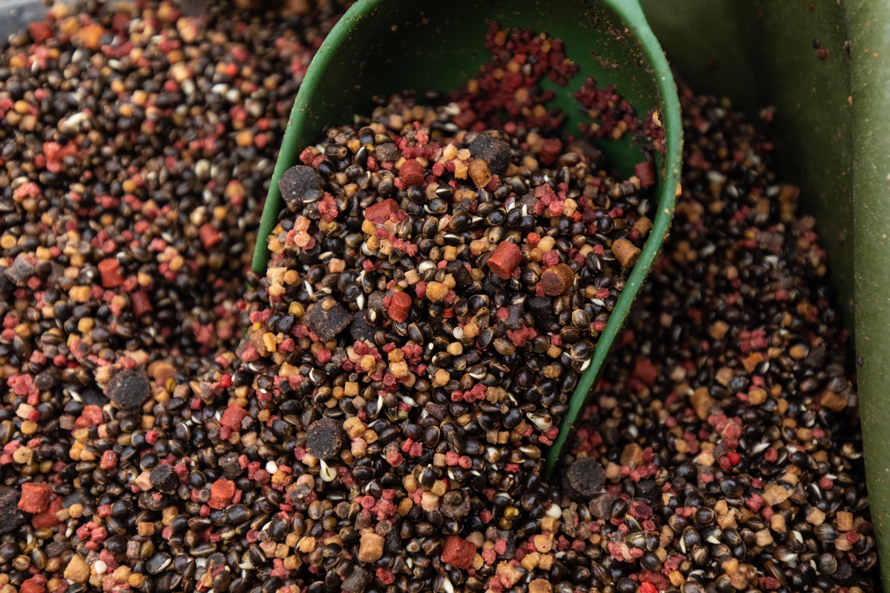 Best Baits for Barbel