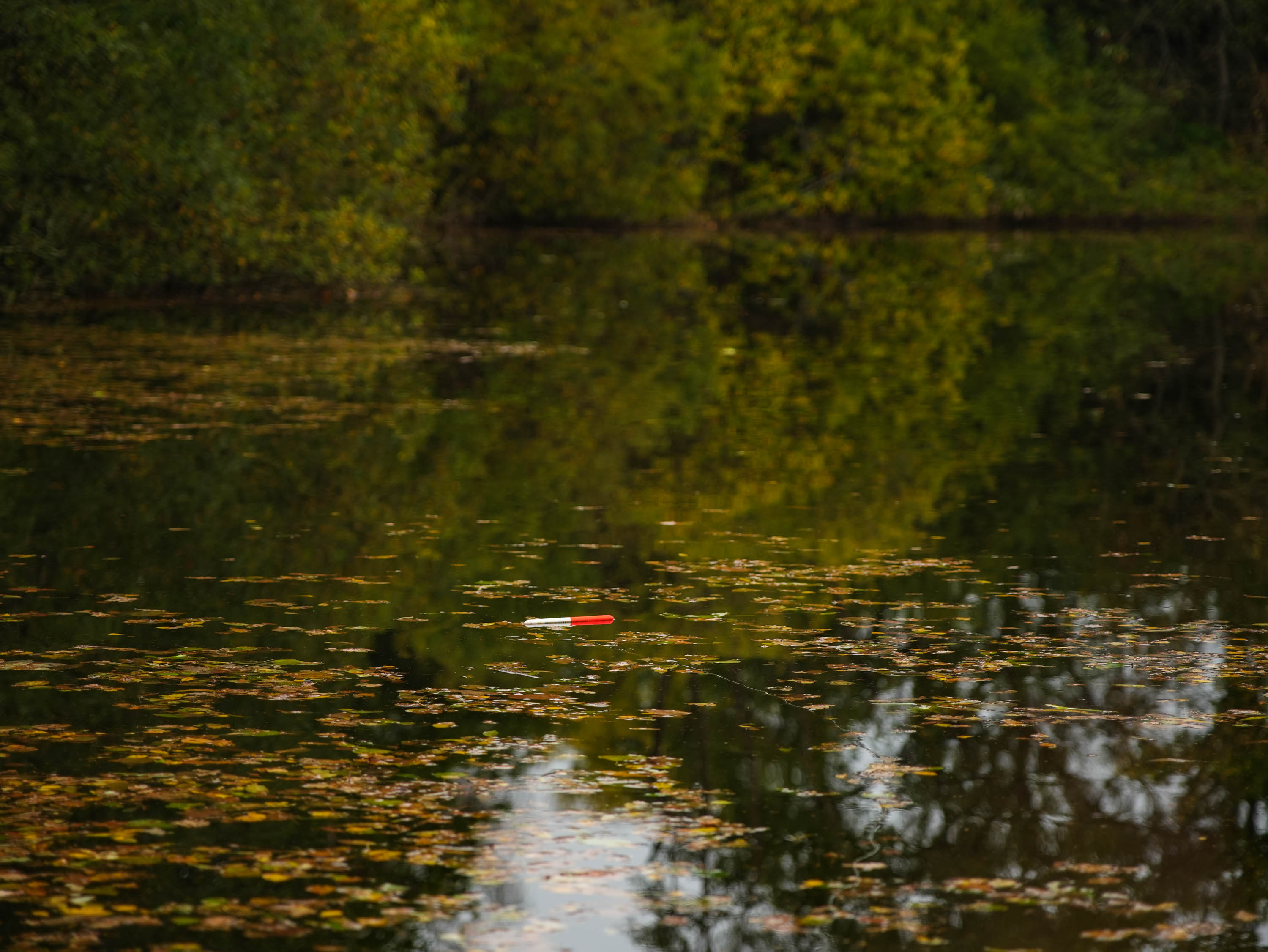 Floats for Barbel Fishing
