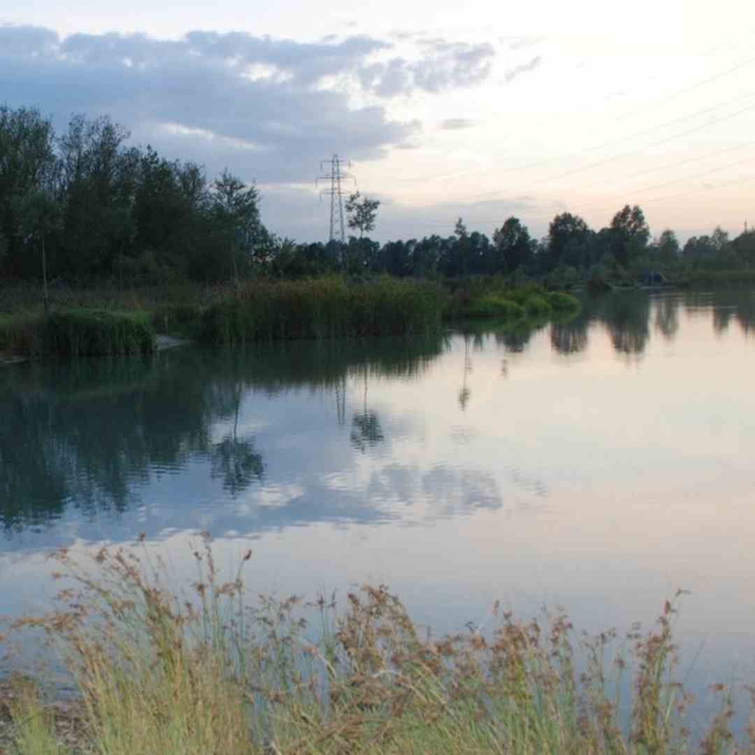 Carp Fishing at Bayeswater
