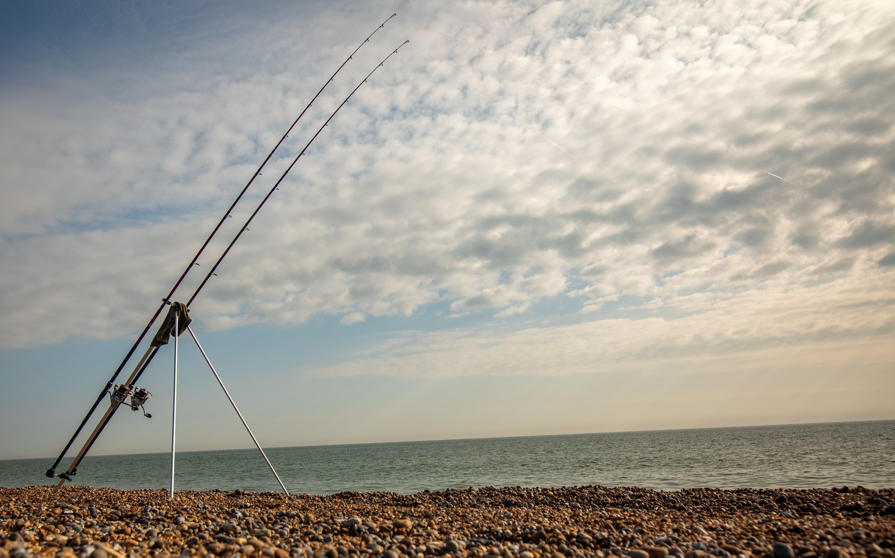 Sea Fishing Rods