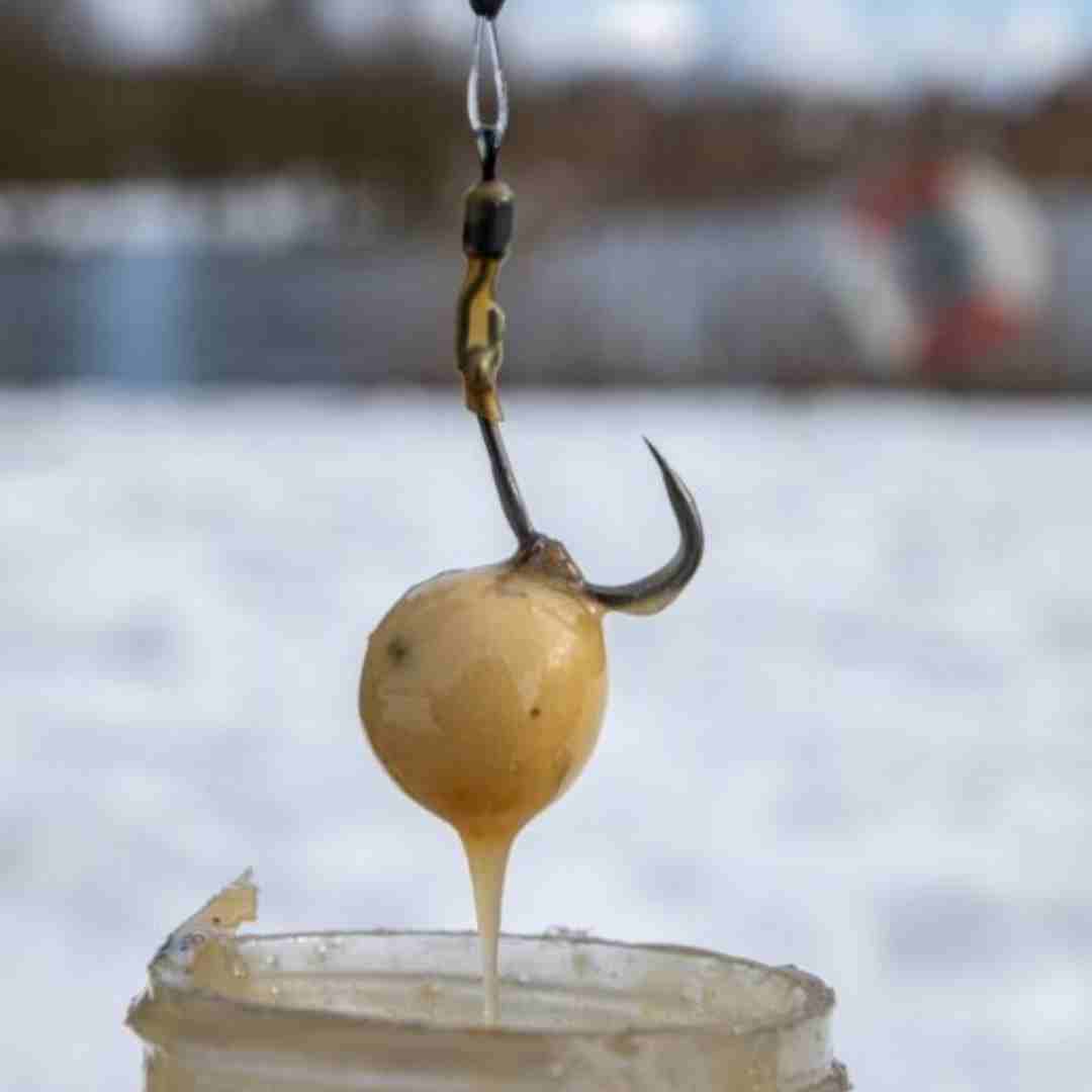 best pop-ups for winter carp