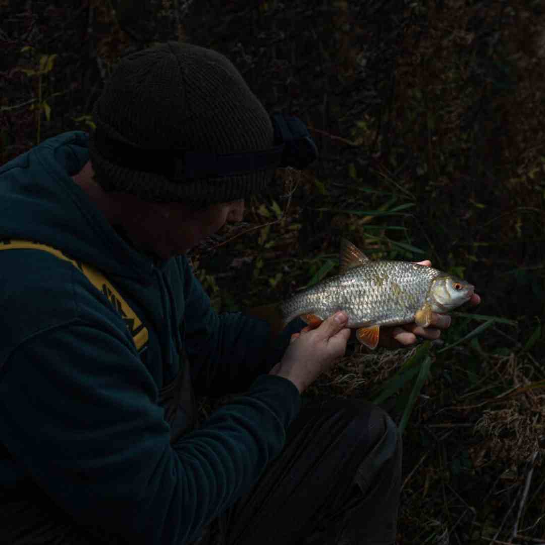 best fishing head torch