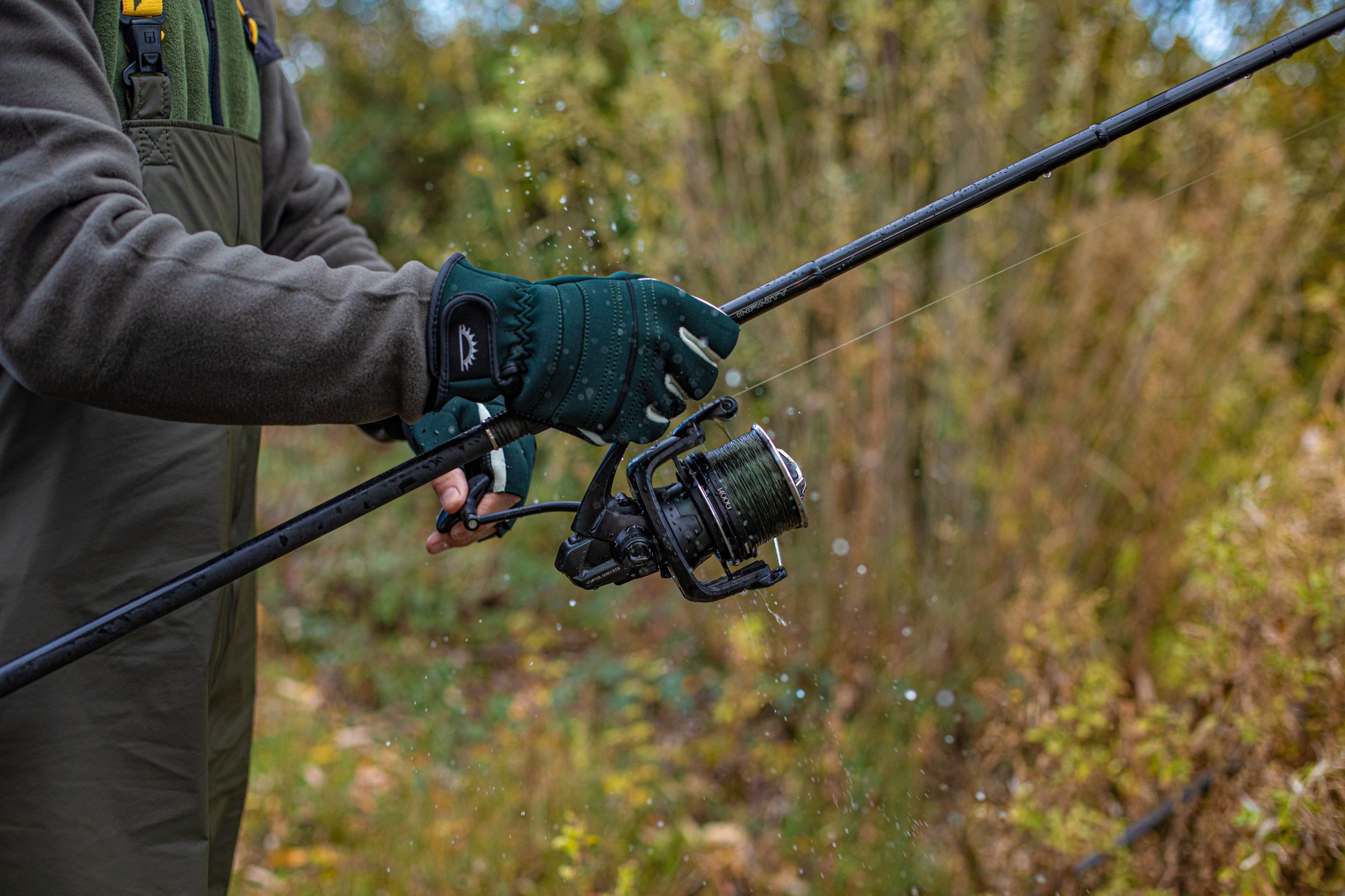 Autumn fishing lines