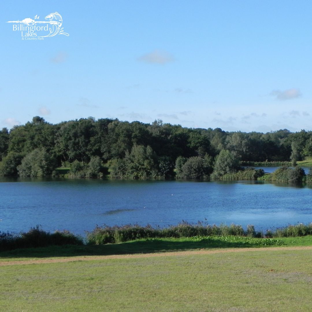 Billingford Lake
