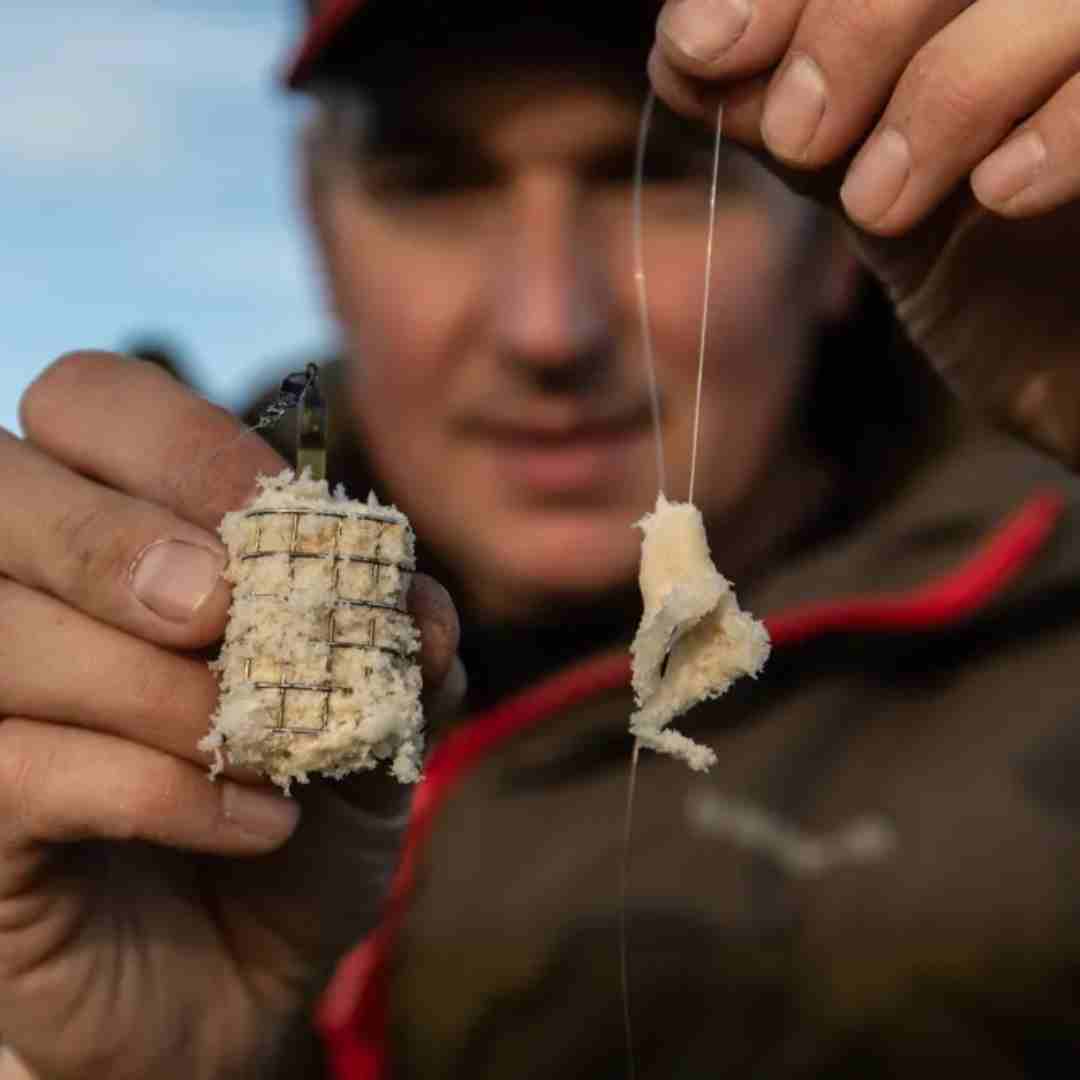 cold water carp bait