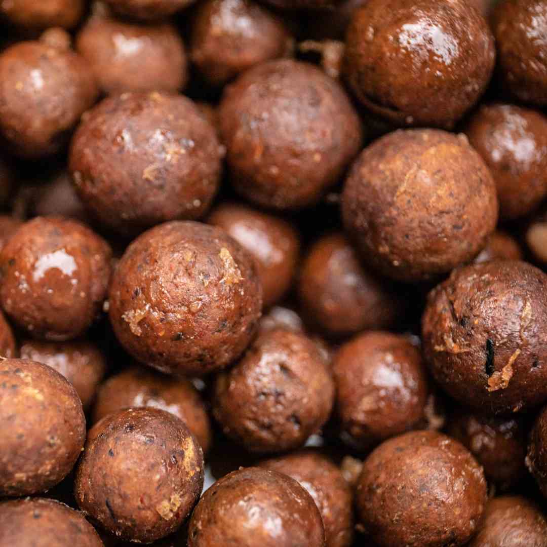 Carp Fishing Baits