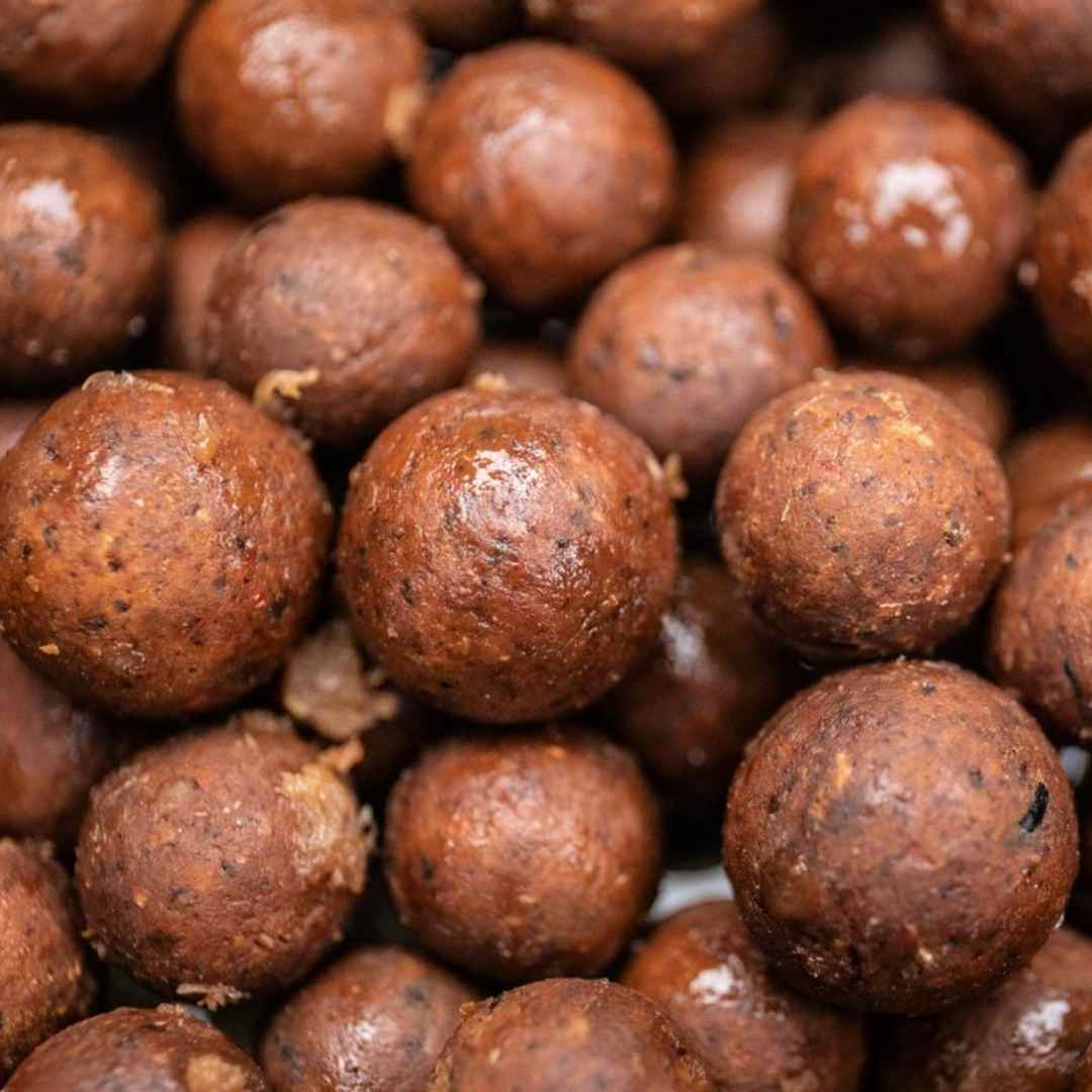 Best Carp Boilies for Summer