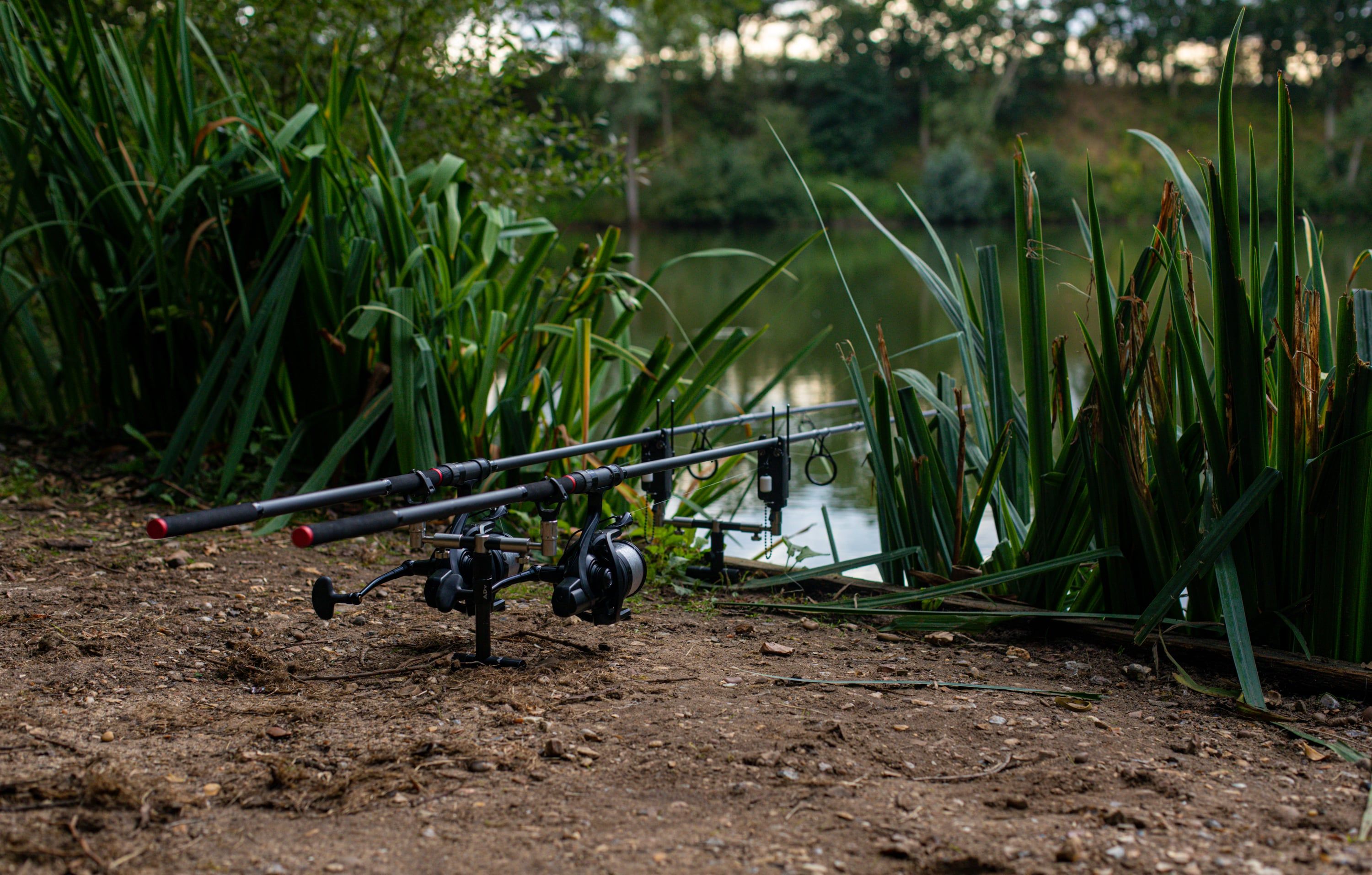 Carping Rods