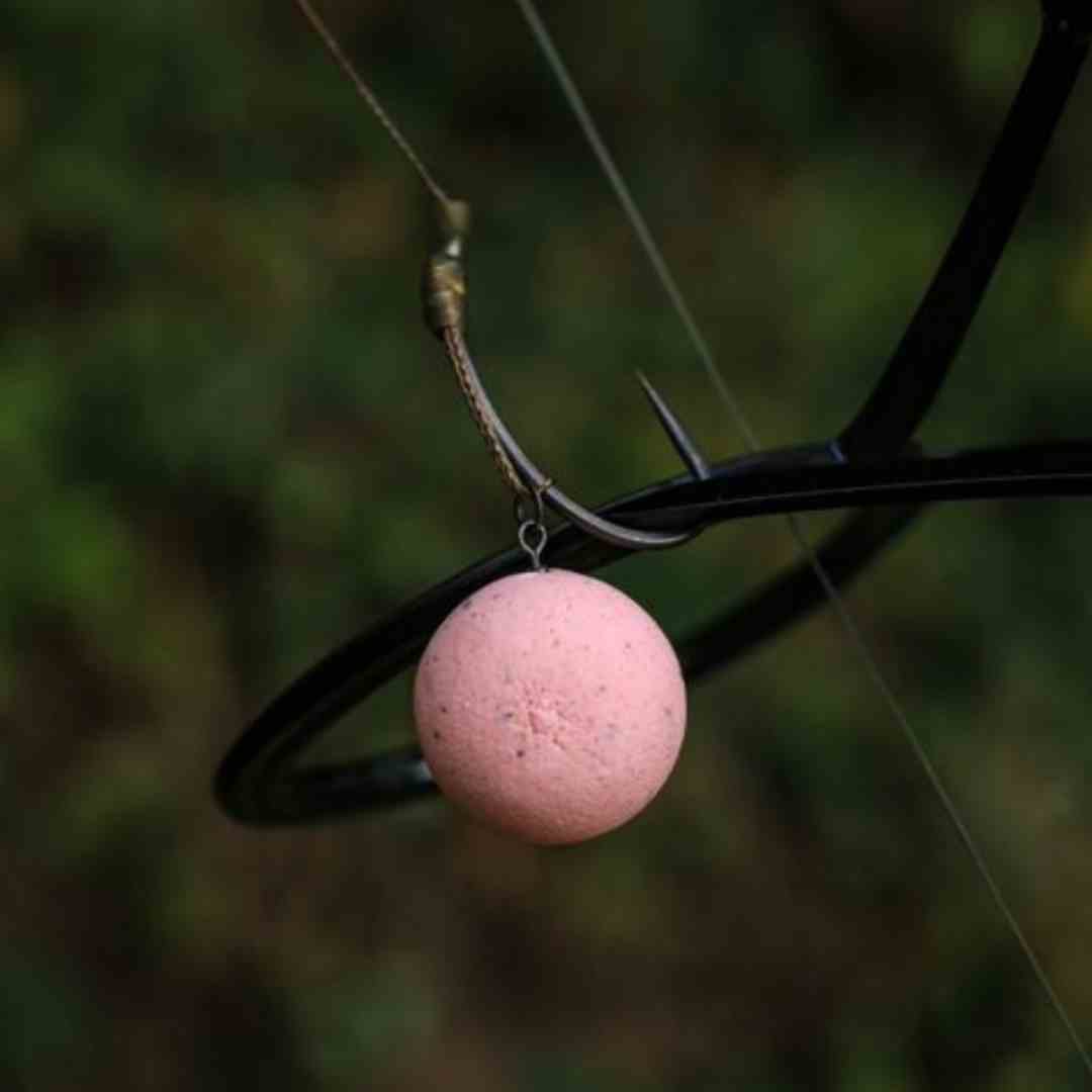 Carp Terminal Tackle