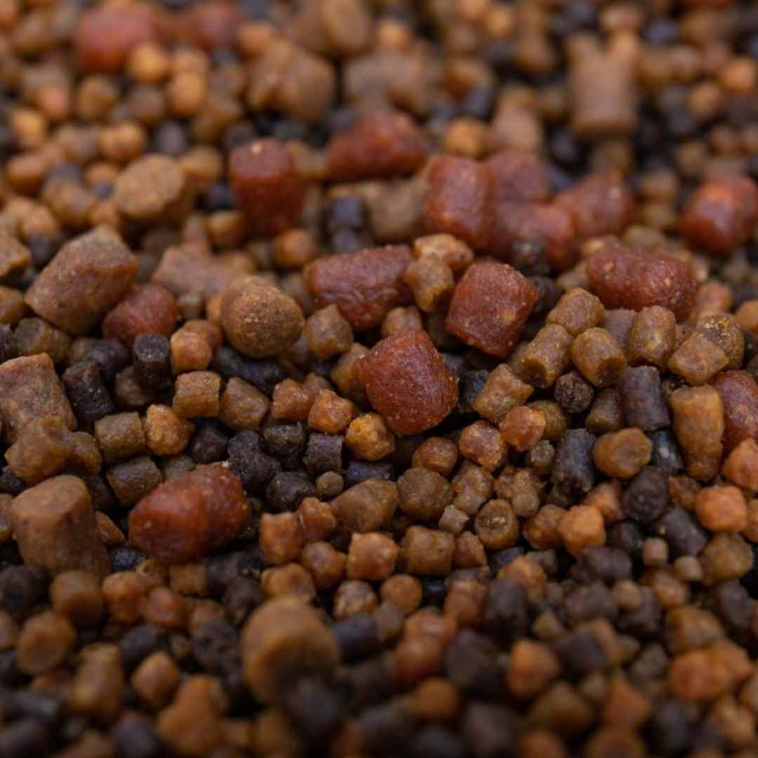 Carp Pellets for Summer Fishing