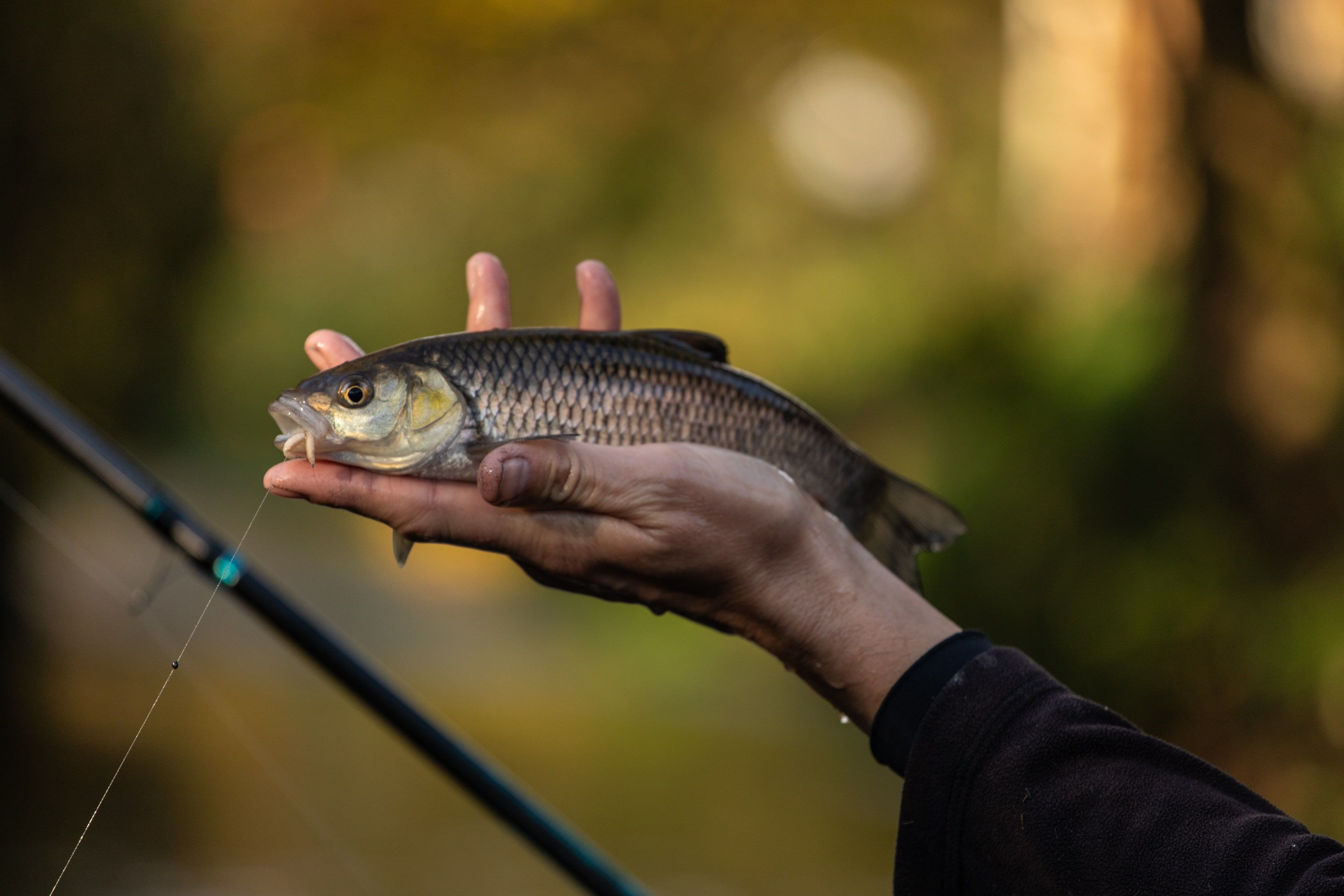 Shop all Specialist Tackle Shop all Specialist Tackle