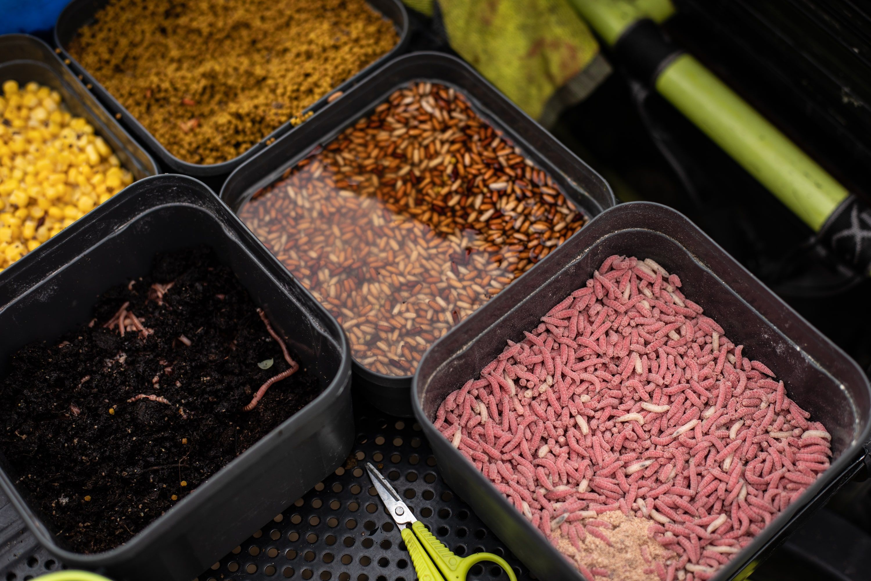 Coarse Fishing Baits