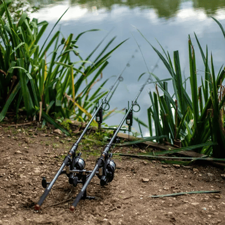 Daiwa Emcast Carp Fishing Rods in nature by a lake