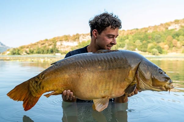David Rosemeier - Carp