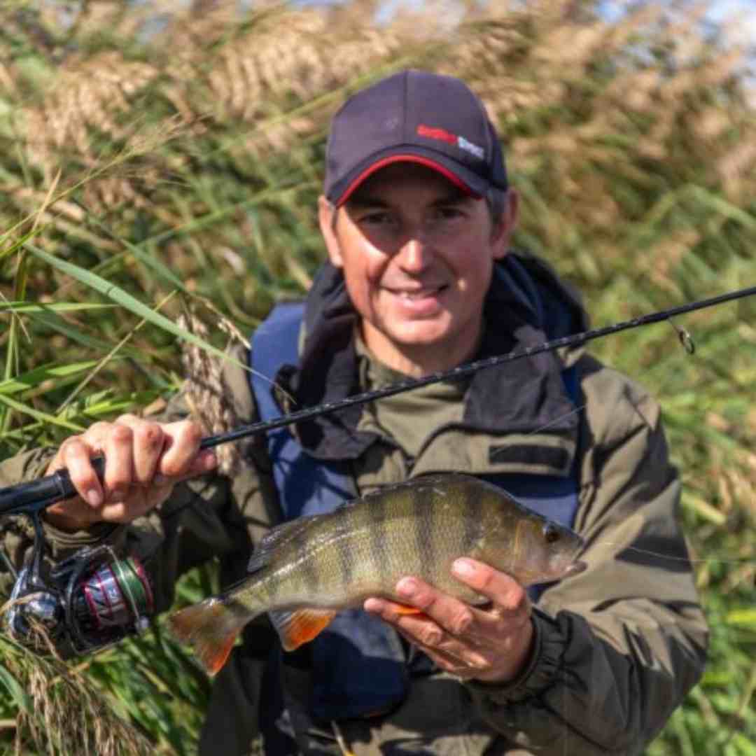 drop shot for perch 