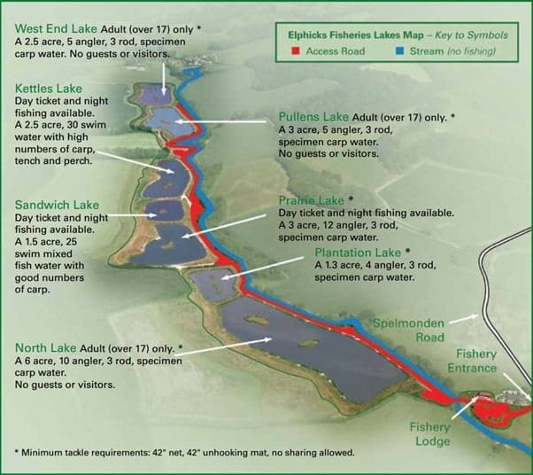 Carp Fishing in Kent