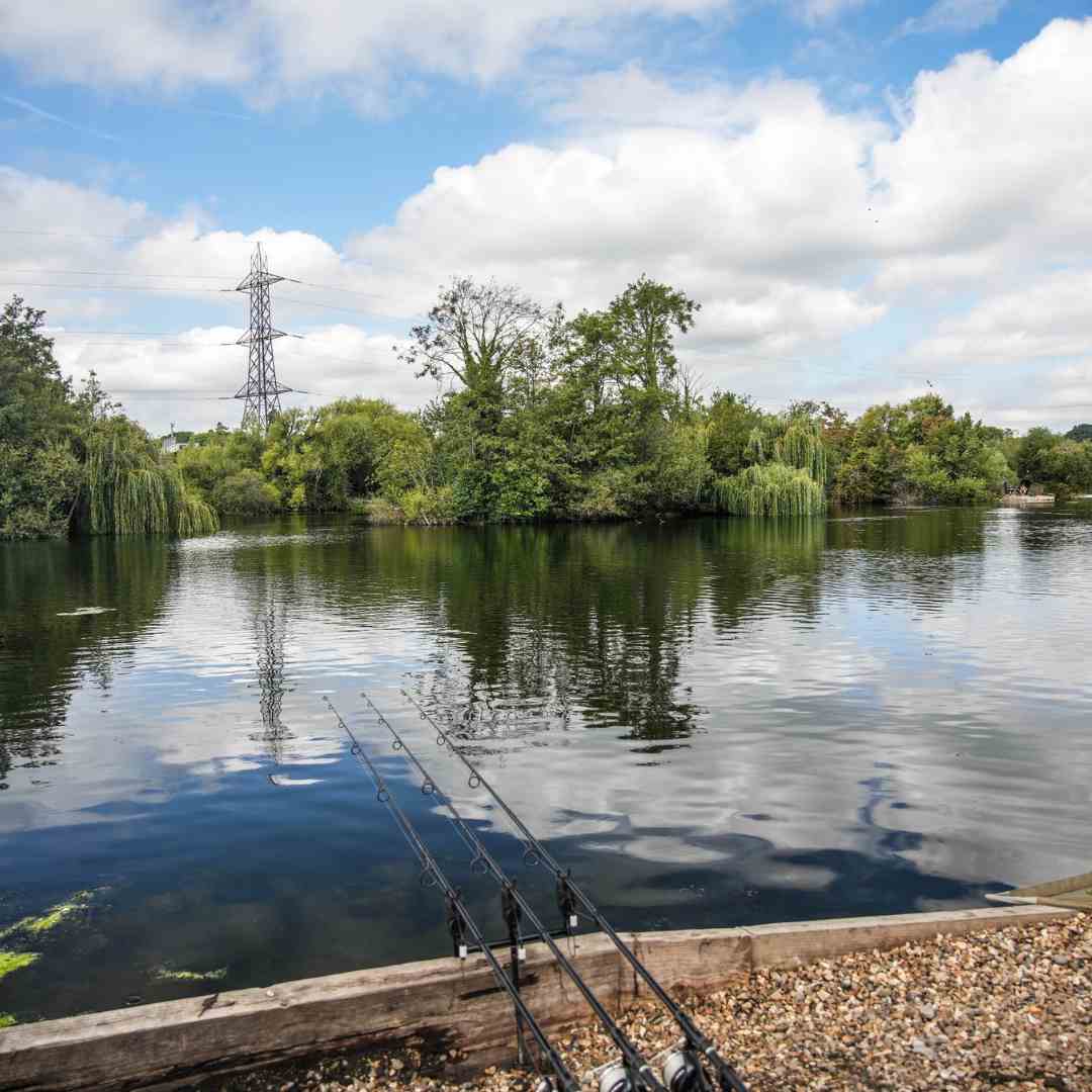 Farlows Lake for Carp Fishing