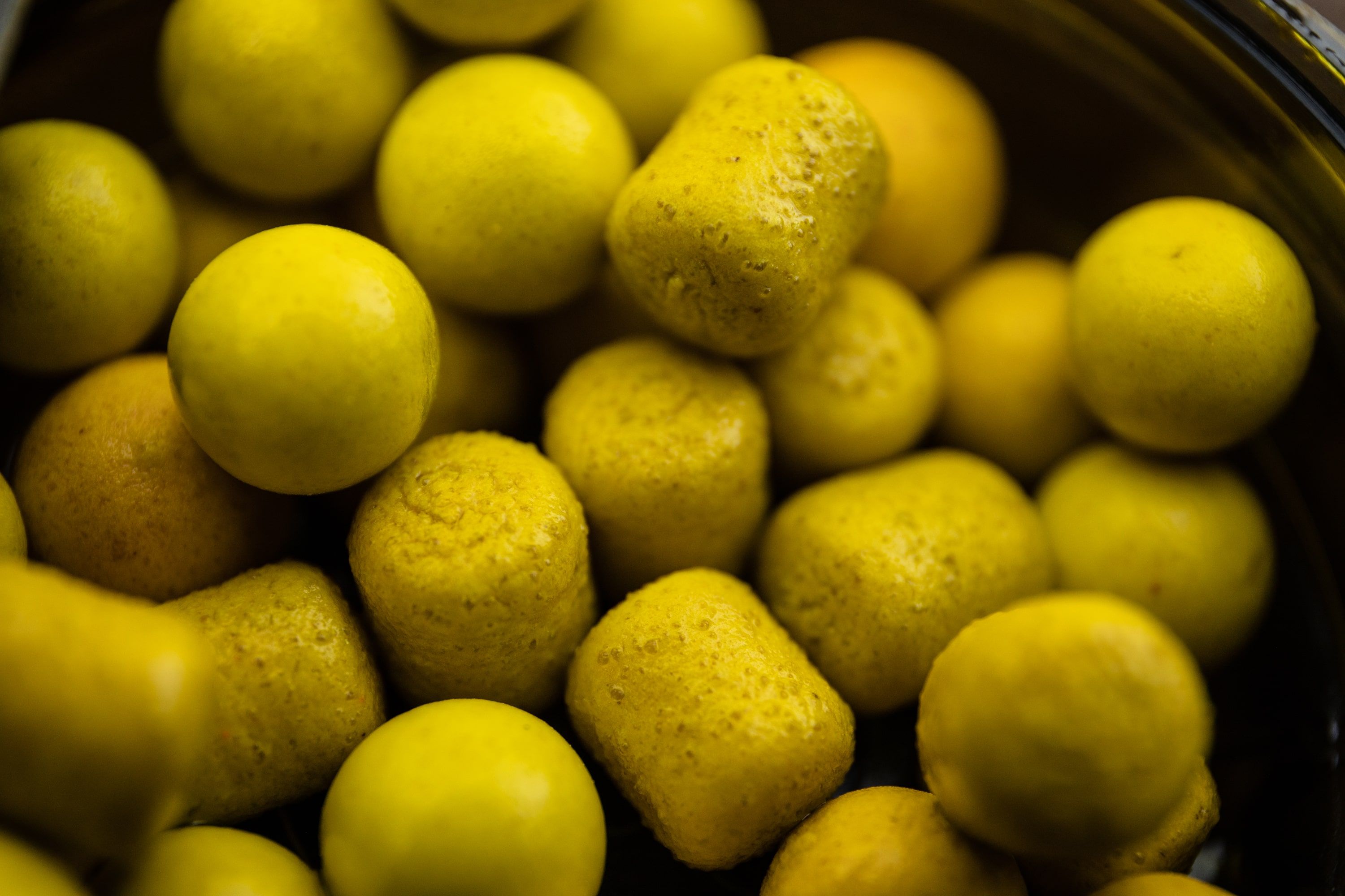 Carp Fishing Baits