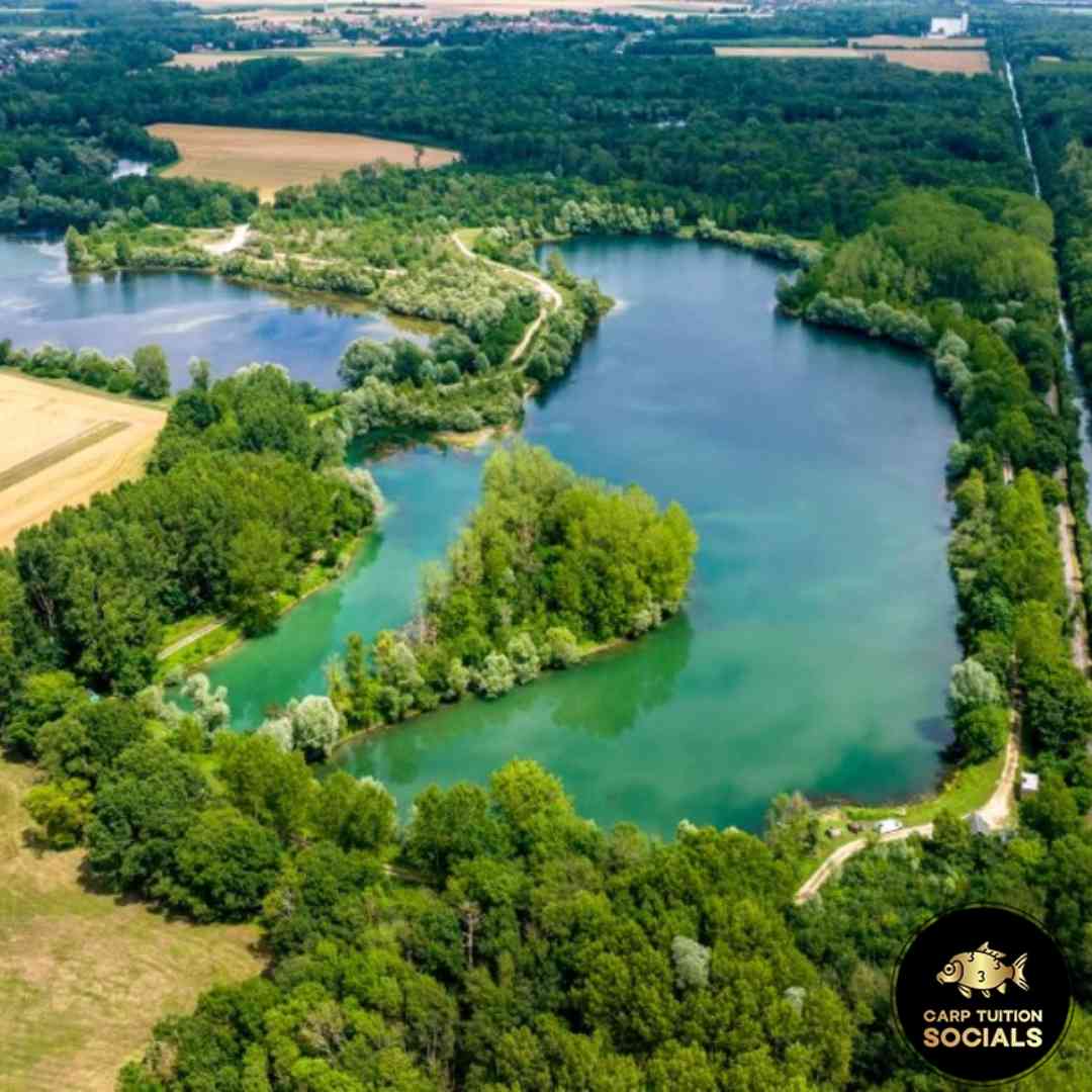 carp lake in France 
