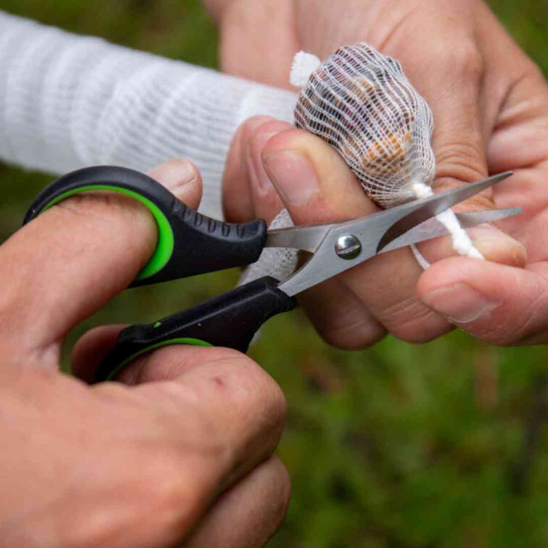 Scissors used in fishing